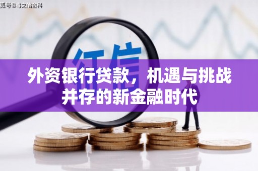 赫山外资银行贷款，机遇与挑战并存的新金融时代