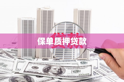赫山保单质押贷款