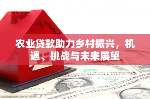 赫山农业贷款助力乡村振兴，机遇、挑战与未来展望