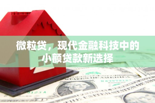 赫山微粒贷，现代金融科技中的小额贷款新选择