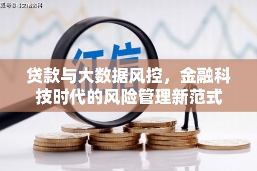 赫山贷款与大数据风控，金融科技时代的风险管理新范式