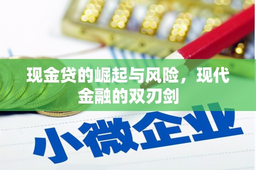 赫山现金贷的崛起与风险，现代金融的双刃剑