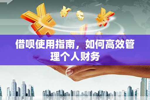 赫山借呗使用指南，如何高效管理个人财务
