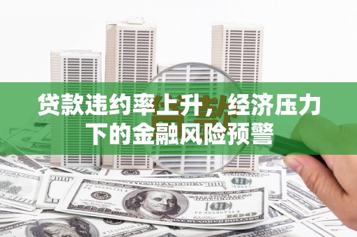 赫山贷款违约率上升，经济压力下的金融风险预警