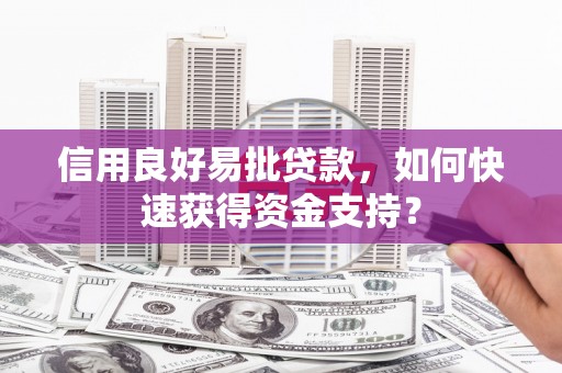 赫山信用良好易批贷款，如何快速获得资金支持？