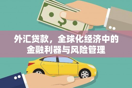 赫山外汇贷款，全球化经济中的金融利器与风险管理