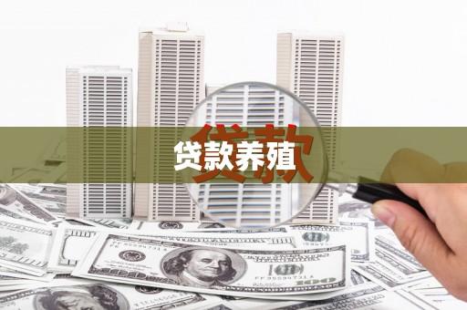 赫山贷款养殖