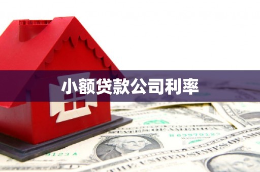 赫山小额贷款公司利率