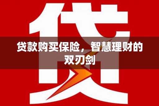 赫山贷款购买保险，智慧理财的双刃剑