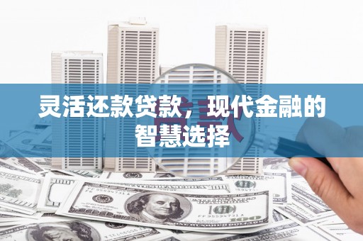 赫山灵活还款贷款，现代金融的智慧选择