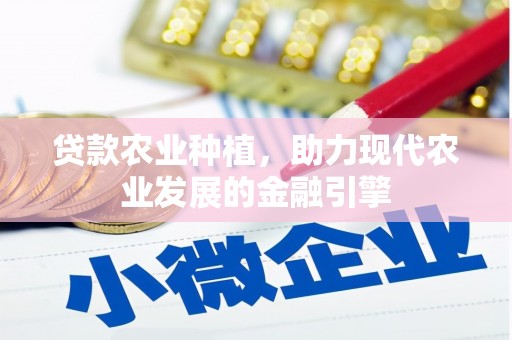 赫山贷款农业种植，助力现代农业发展的金融引擎