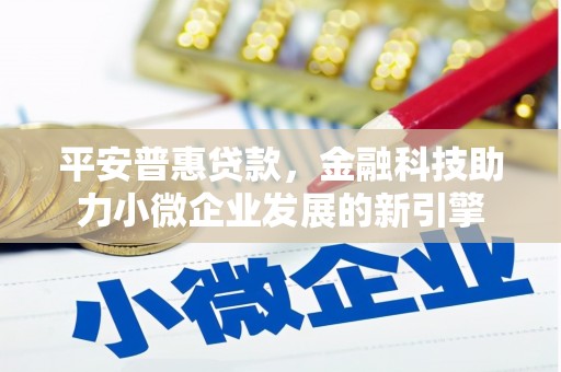 赫山平安普惠贷款，金融科技助力小微企业发展的新引擎