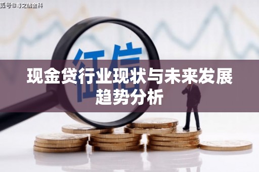赫山现金贷行业现状与未来发展趋势分析