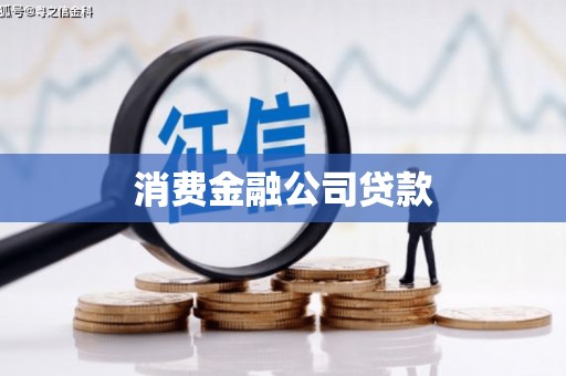赫山消费金融公司贷款