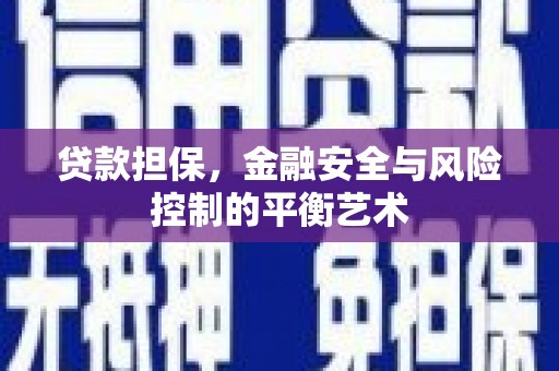 赫山贷款担保，金融安全与风险控制的平衡艺术