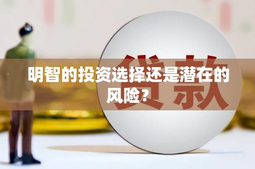 赫山明智的投资选择还是潜在的风险？