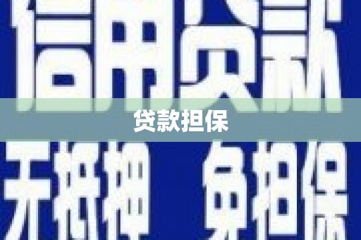 赫山贷款担保