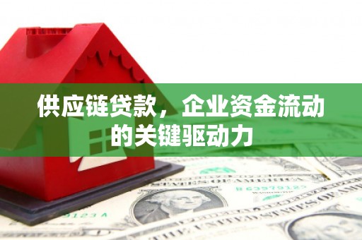 赫山供应链贷款，企业资金流动的关键驱动力