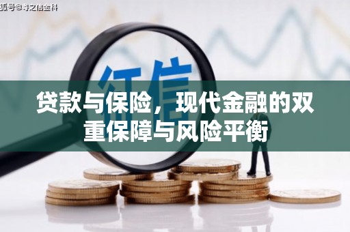 赫山贷款与保险，现代金融的双重保障与风险平衡