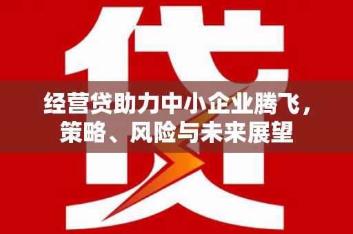 赫山经营贷助力中小企业腾飞，策略、风险与未来展望