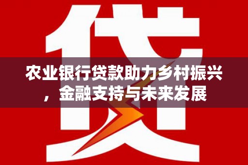 赫山农业银行贷款助力乡村振兴，金融支持与未来发展