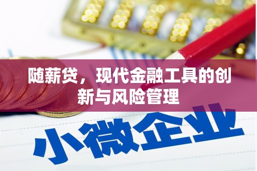 赫山随薪贷，现代金融工具的创新与风险管理
