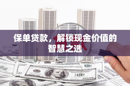 赫山保单贷款，解锁现金价值的智慧之选