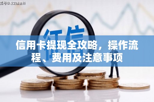 赫山信用卡提现全攻略，操作流程、费用及注意事项