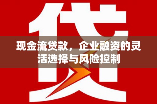 赫山现金流贷款，企业融资的灵活选择与风险控制