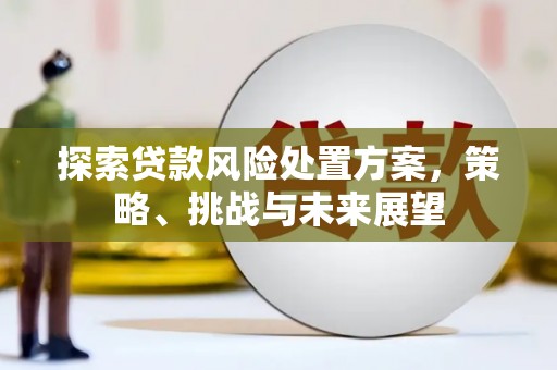 赫山探索贷款风险处置方案，策略、挑战与未来展望