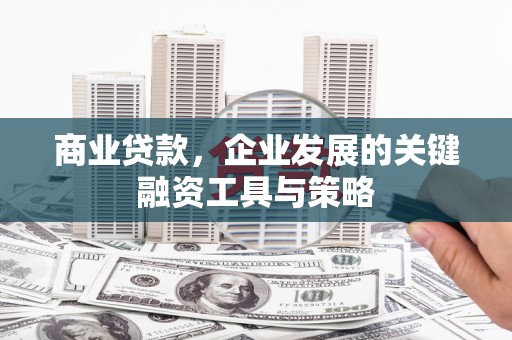 赫山商业贷款，企业发展的关键融资工具与策略