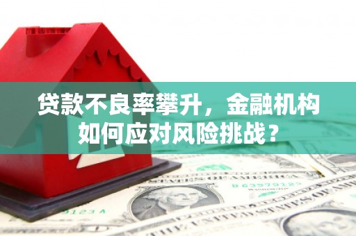 赫山贷款不良率攀升，金融机构如何应对风险挑战？