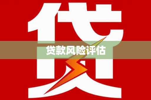 赫山贷款风险评估