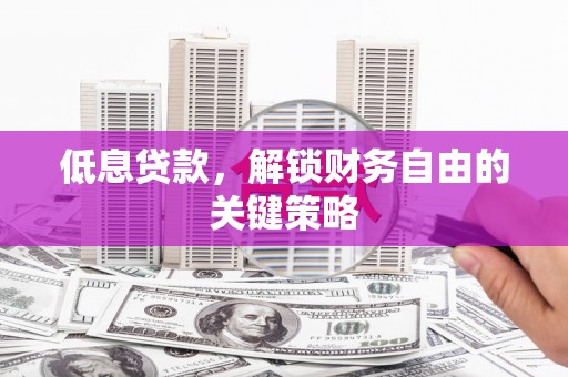 赫山低息贷款，解锁财务自由的关键策略