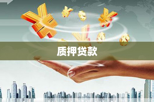 赫山质押贷款