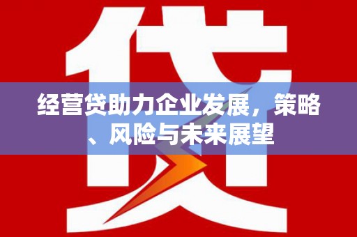 赫山经营贷助力企业发展，策略、风险与未来展望