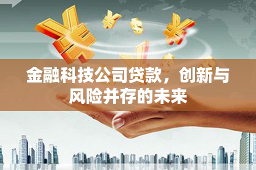 赫山金融科技公司贷款，创新与风险并存的未来