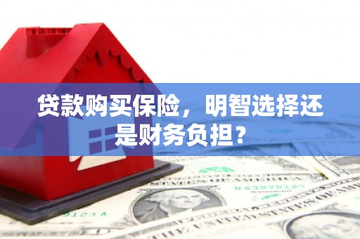 赫山贷款购买保险，明智选择还是财务负担？