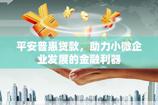 赫山平安普惠贷款，助力小微企业发展的金融利器
