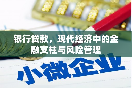 赫山银行贷款，现代经济中的金融支柱与风险管理