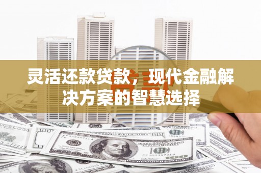 赫山灵活还款贷款，现代金融解决方案的智慧选择