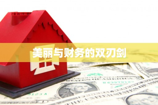 赫山美丽与财务的双刃剑