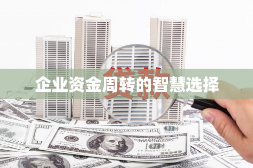 赫山企业资金周转的智慧选择