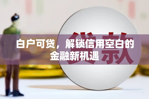 赫山白户可贷，解锁信用空白的金融新机遇