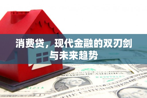 赫山消费贷，现代金融的双刃剑与未来趋势