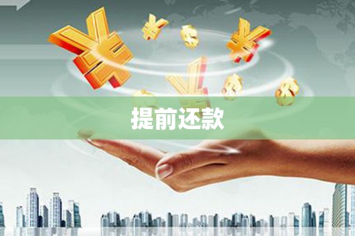 赫山提前还款