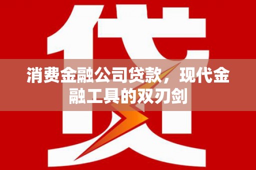 赫山消费金融公司贷款，现代金融工具的双刃剑