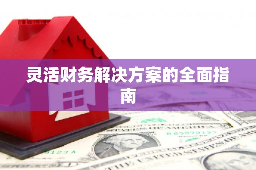赫山灵活财务解决方案的全面指南