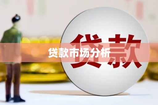 赫山贷款市场分析