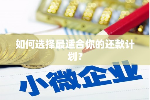 赫山如何选择最适合你的还款计划？